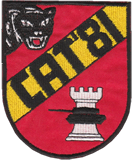 4. Kompanie Panzer Bataillon 294 - West Germany